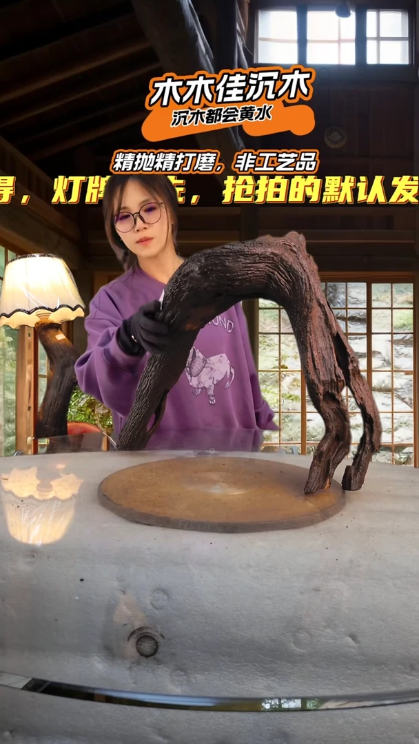 L*D木木佳沉木鱼缸造景