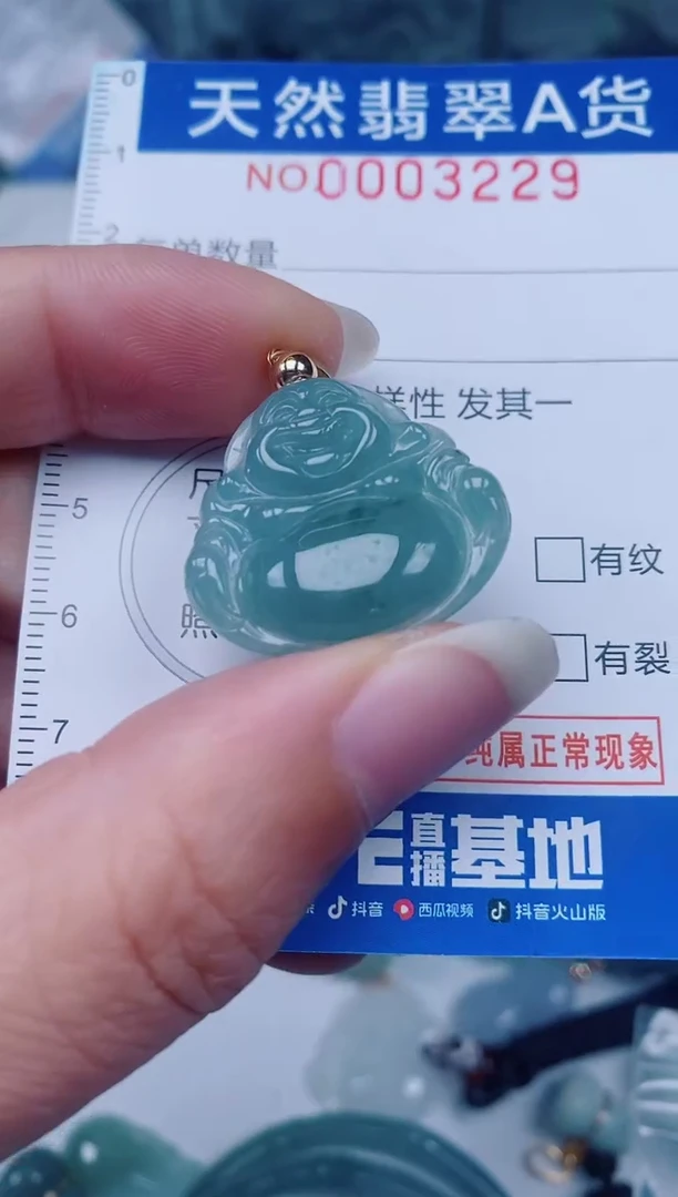 颈饰未镶嵌翡翠00003229