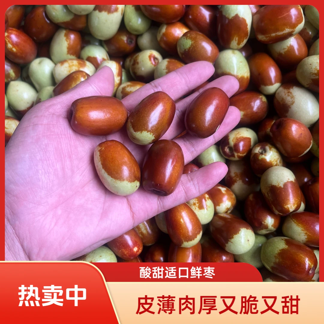 朝阳大枣平顶枣鲜枣枣子酸甜口感现摘现发