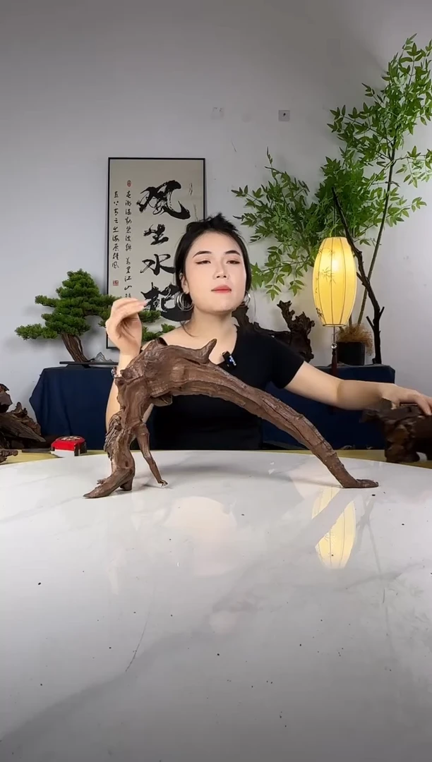 惠****）拍这个定向编号51