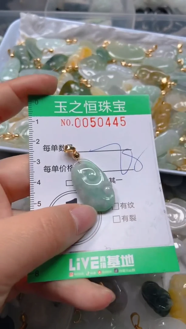 【闪购商品】翡翠颈饰未镶嵌闪购0050445