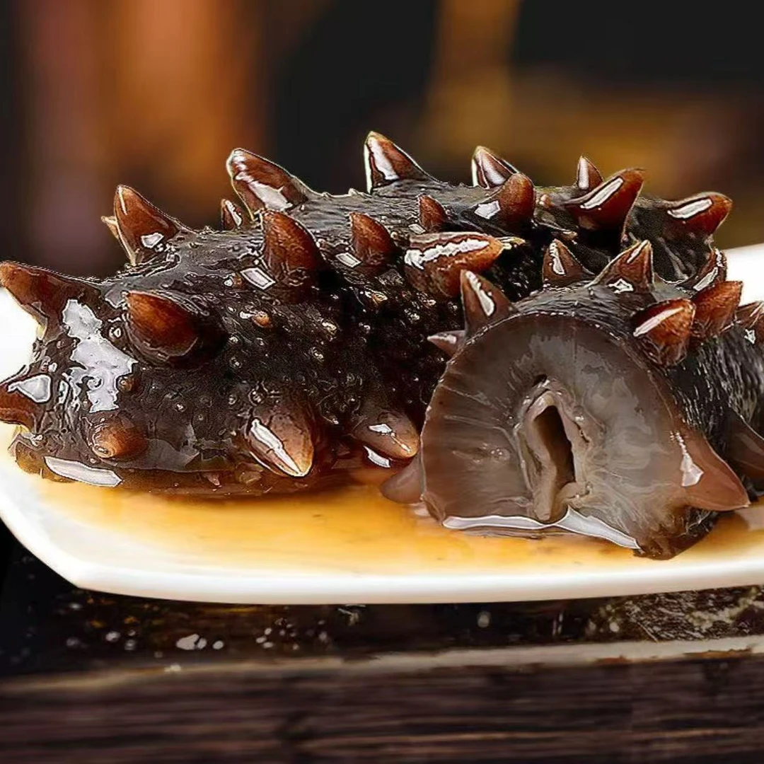 新鲜海参刺身辽参即食深海大连海参