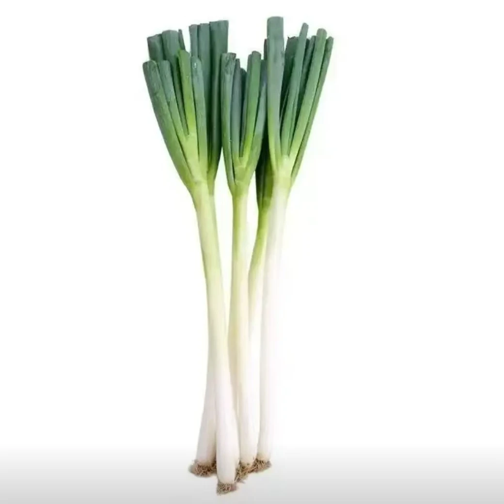 辽宁直发大葱两根（300-400g）