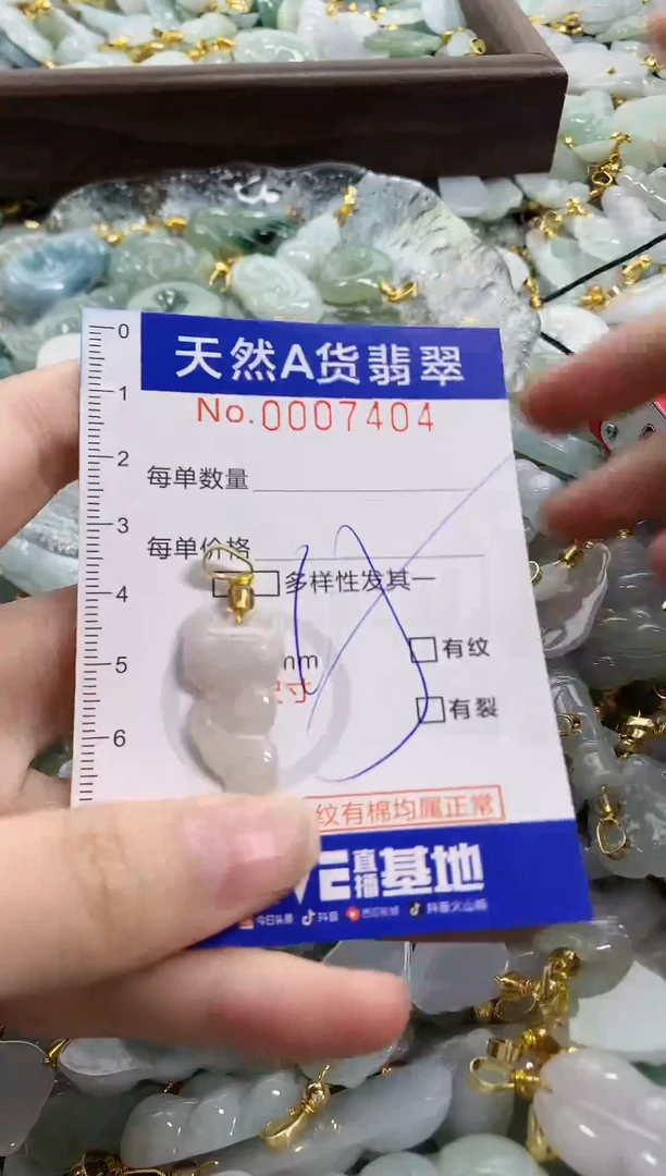 颈饰未镶嵌翡翠天然A货翡翠