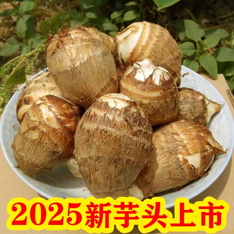 【皮书记助农】江西芋头纯农家种植现挖今年新芋头软糯丝滑非香芋