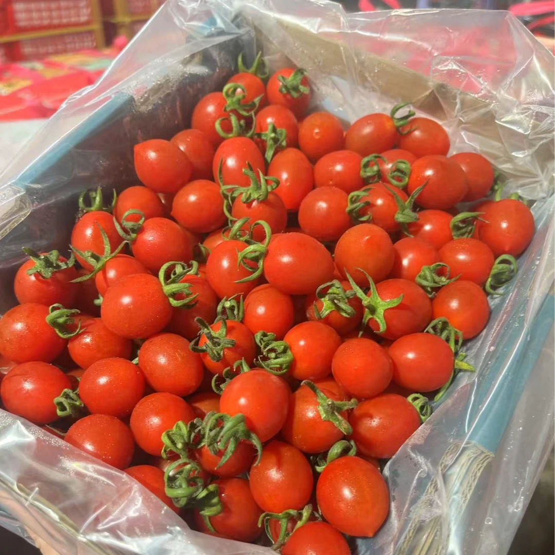 刘婆婆小甜甜 釜山88号小番茄 口口爆汁儿 净果2斤 礼盒装山东省