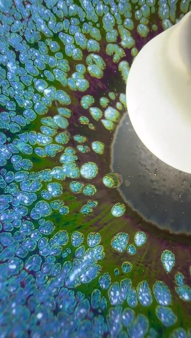 【闪购商品】茶盏繆兴洲老师精品场155