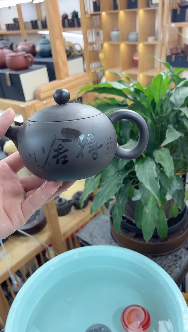 瓷片舍得黑美人西施壶