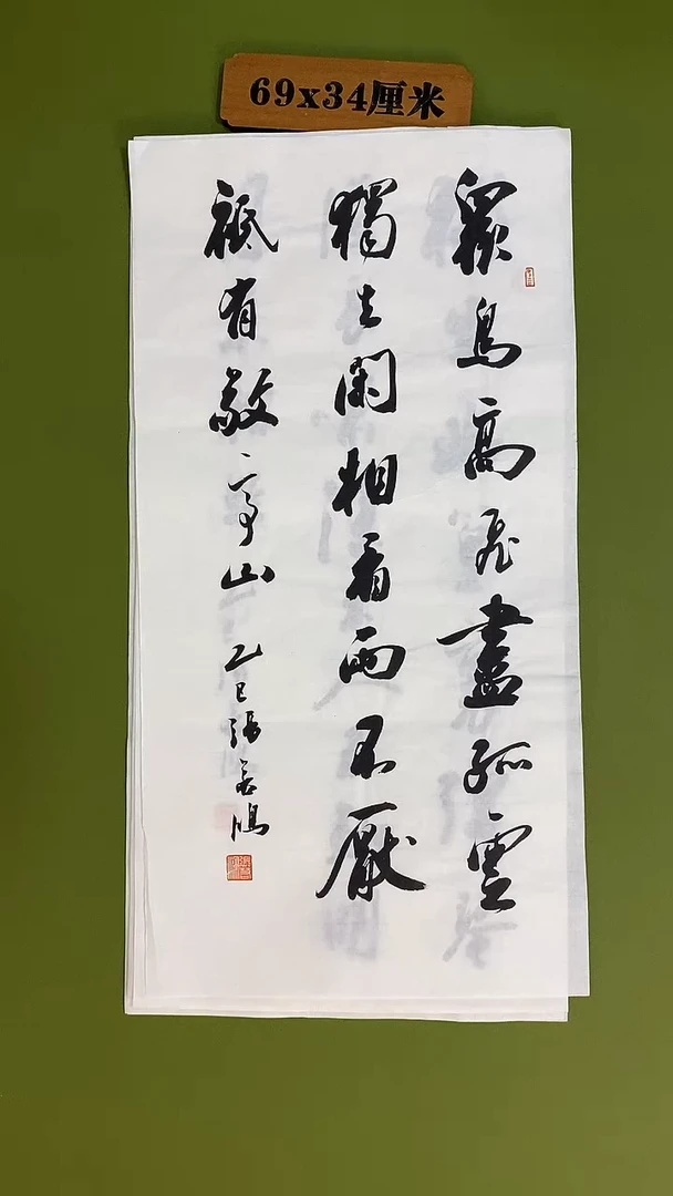 书法书法 张若鸿 尺寸69cm*34cm