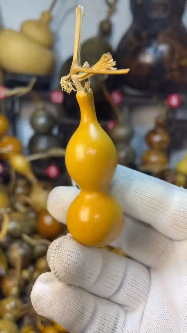 【闪购商品】葫芦葫芦葫芦葫芦