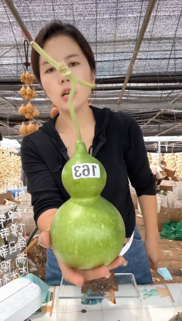163天然葫芦摆件 一物一拍龙头不保售后