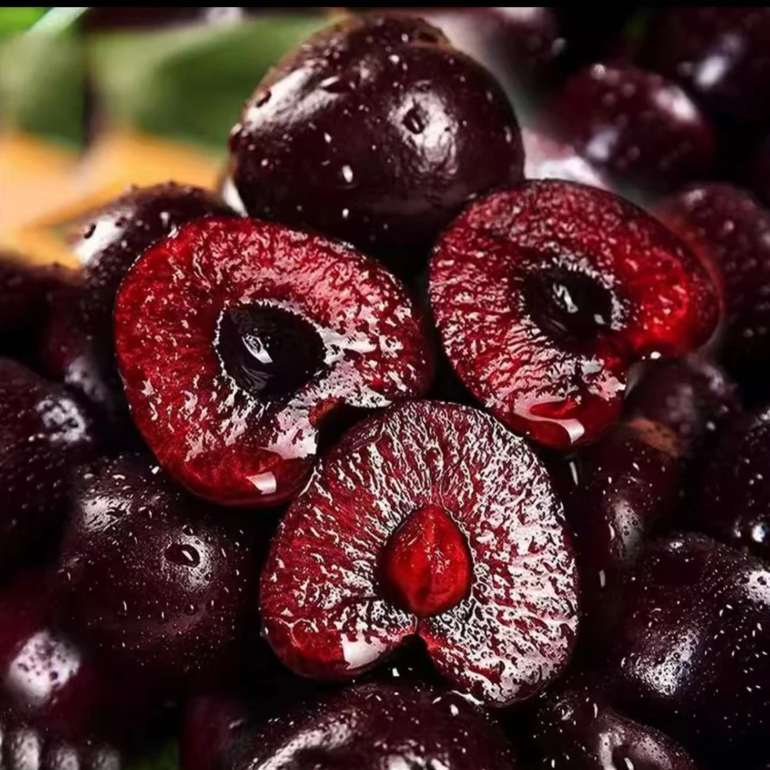 X5【顺丰次日达】3JDD智利空运桑提娜车厘子净重5斤内附果径卡桑提娜樱桃智利共和国