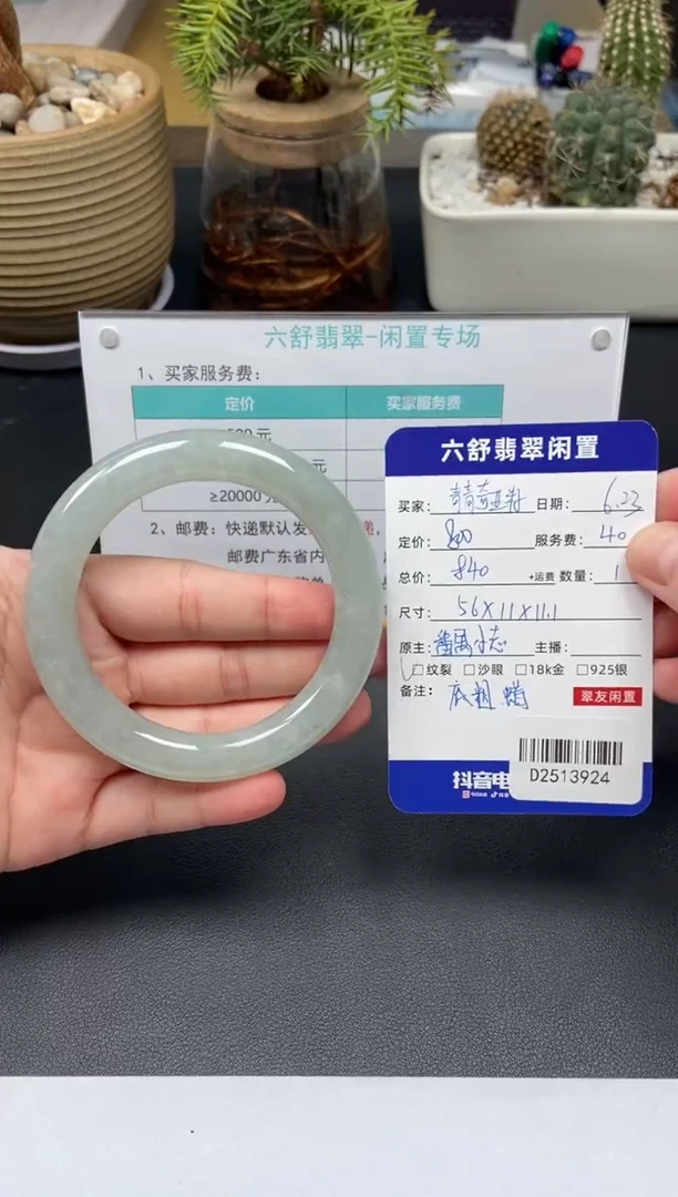 翡翠手镯未镶嵌青***籽D2513924