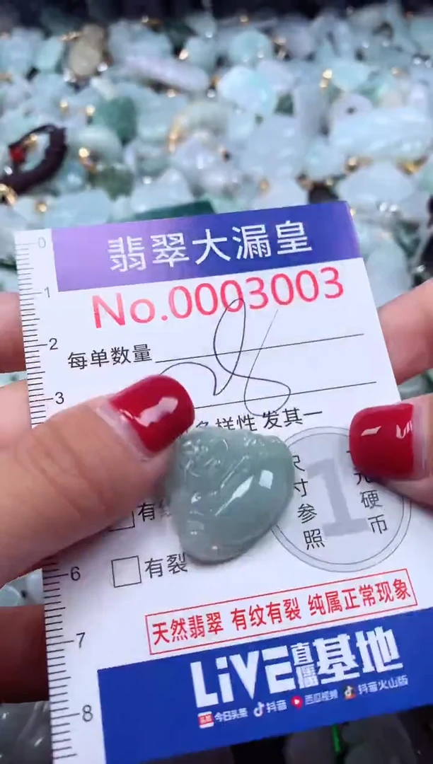 颈饰未镶嵌翡翠3003