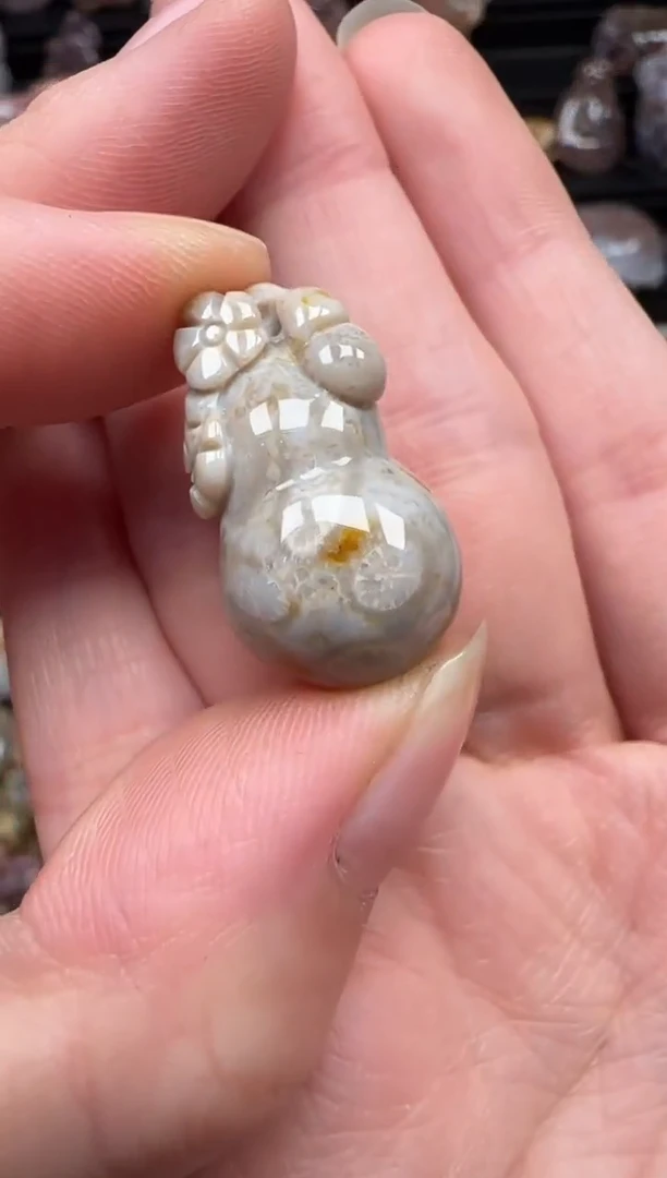 颈饰未镶嵌硅化珊瑚（珊瑚玉）584