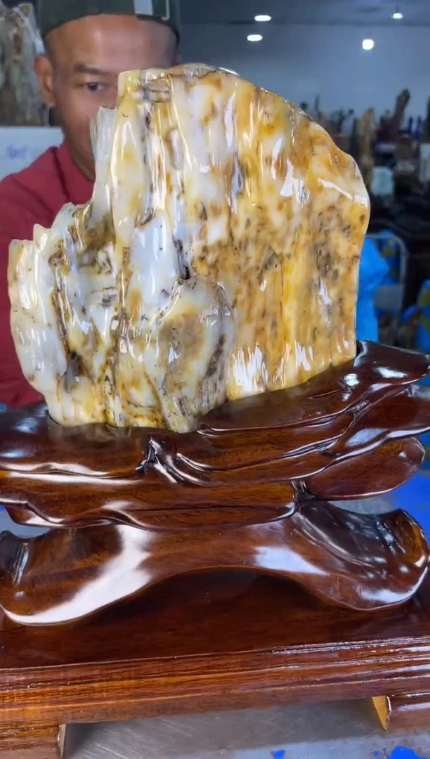 未镶嵌摆件硅化玉16