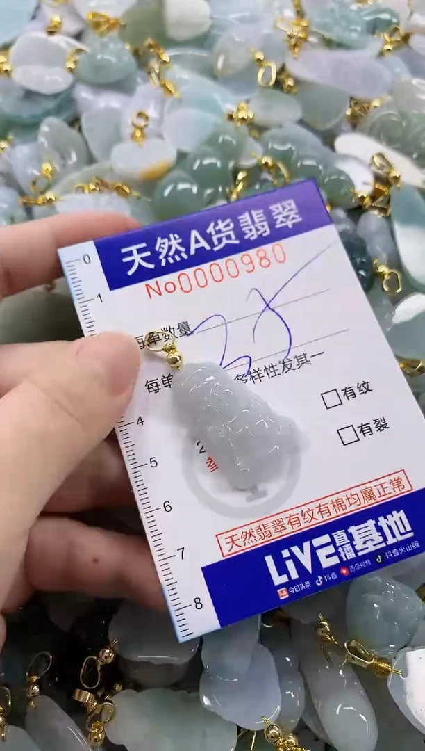 颈饰未镶嵌翡翠天然A货翡翠