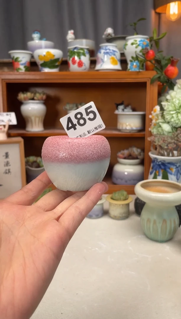 瓷片鲶*485知木小芳直播编号