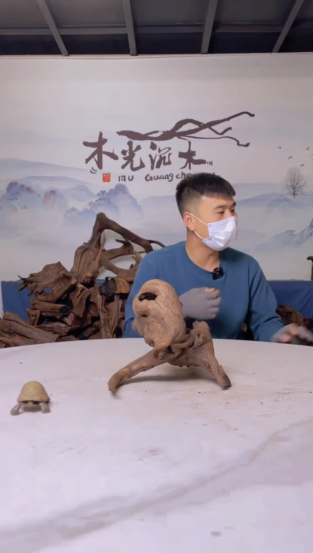 【闪购商品】a548木光沉木木光沉木