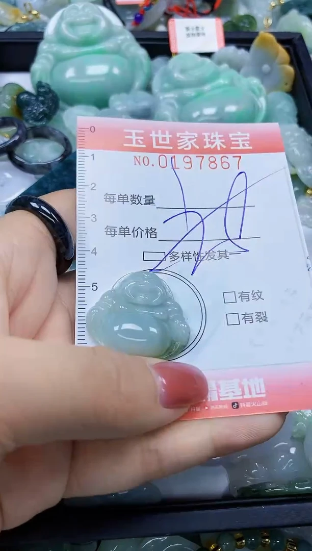 【闪购商品】翡翠颈饰未镶嵌闪购0197867多样性发其一