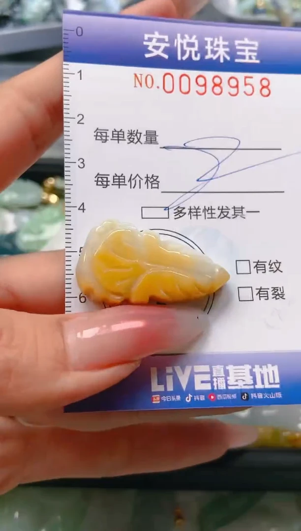 【闪购商品】翡翠颈饰未镶嵌闪购0098958