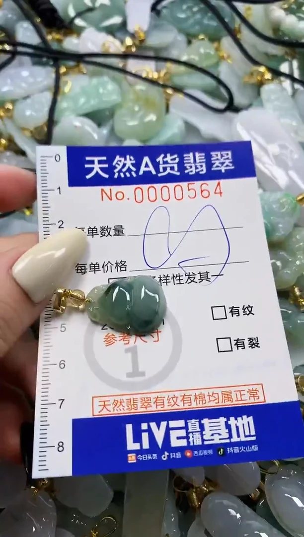 颈饰未镶嵌翡翠天然A货翡翠