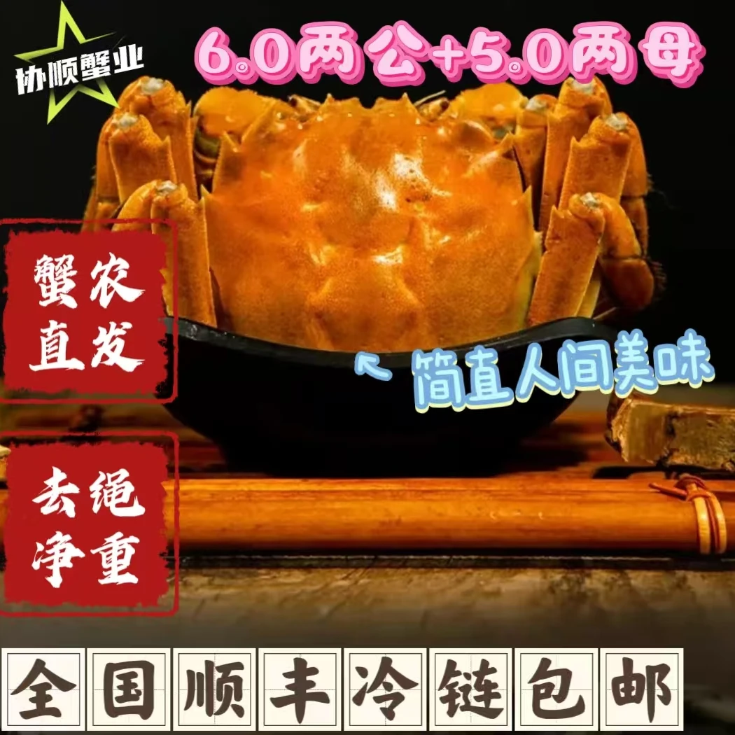 【活蟹6两】江苏正宗清水精挑大闸蟹公6两母5两4-8只