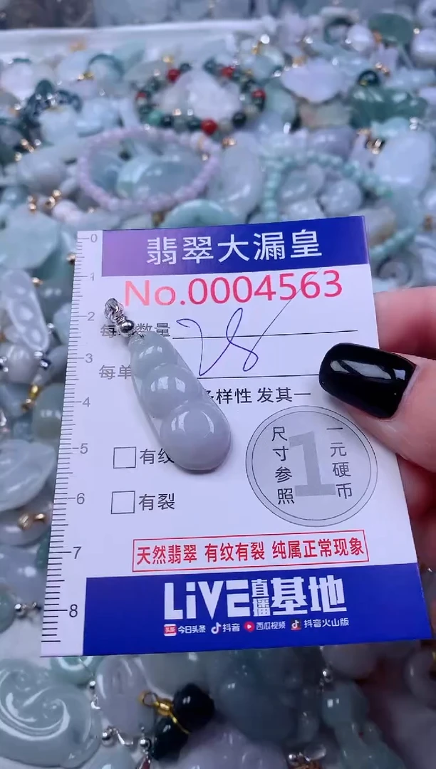 颈饰未镶嵌翡翠4563