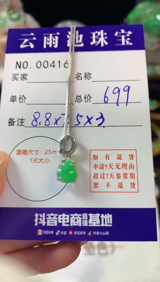 翡翠银S925镶嵌颈饰翡翠