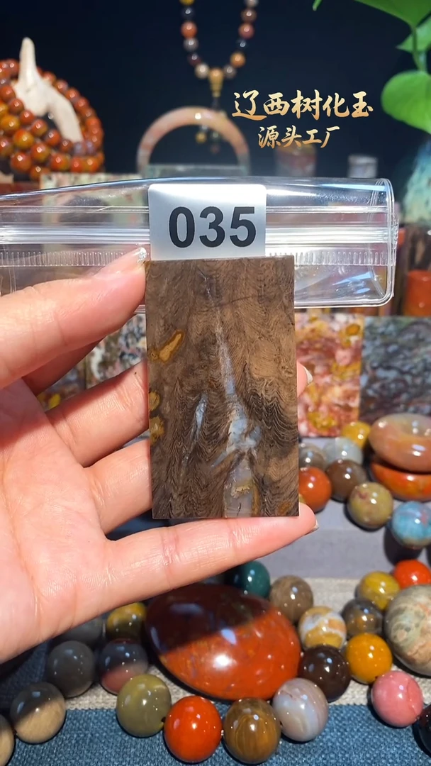 未镶嵌-硅化玉天然北票硅化玉吊坠