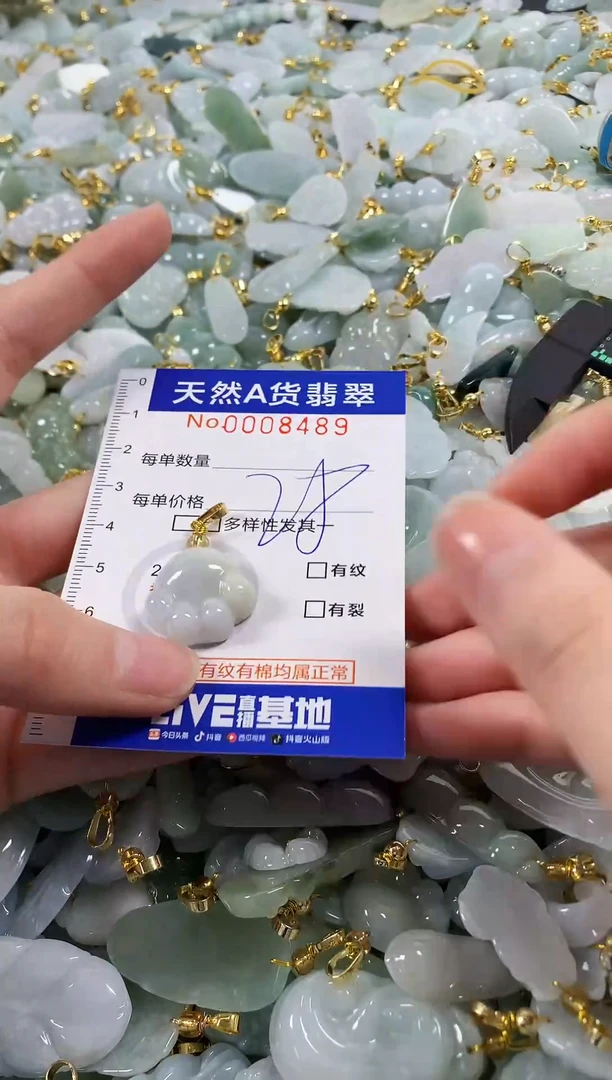 颈饰未镶嵌翡翠天然a货翡翠