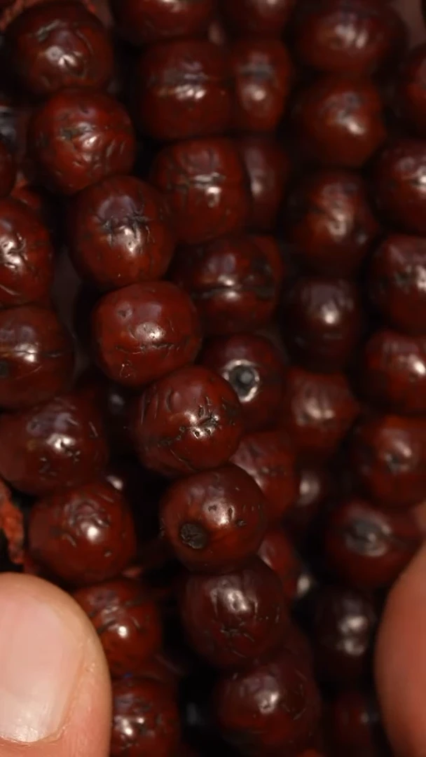 冲赛康胡子哥，藏传念珠100