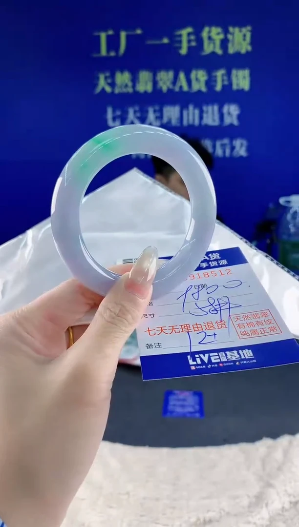 未镶嵌手镯翡翠12