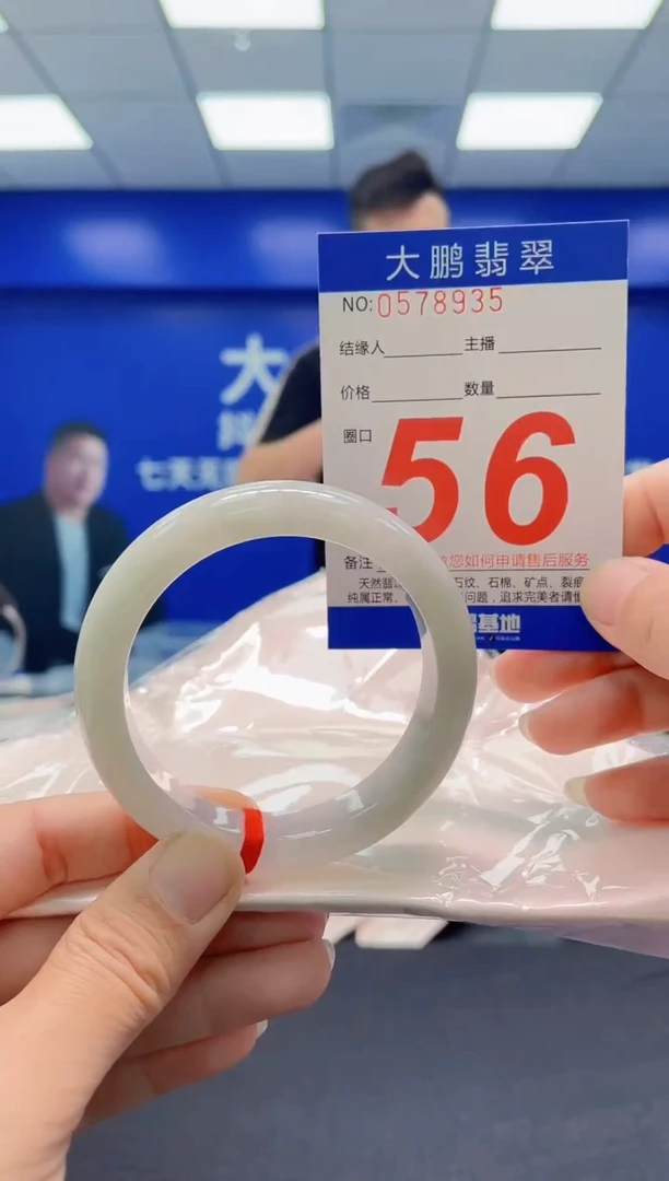 未镶嵌手镯翡翠AAAAAAAAA