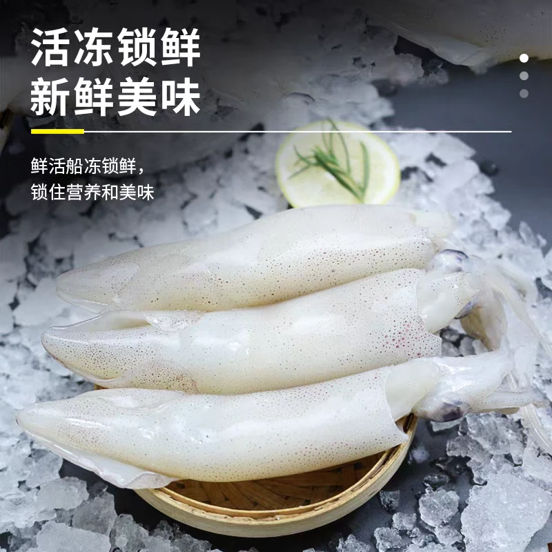 新鲜海兔5斤/笔管鱼/原浆不泡药水/顺丰包邮