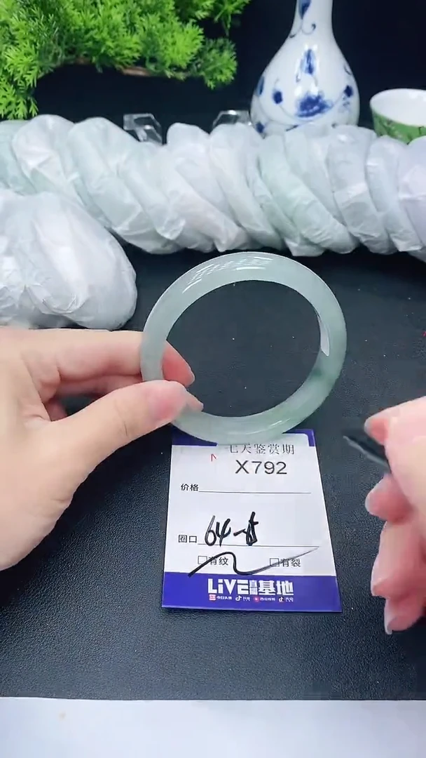 未镶嵌手镯翡翠792