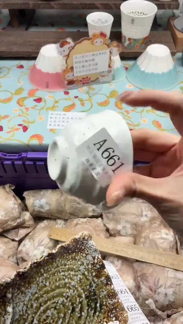 瓷片咕*滴                A661
