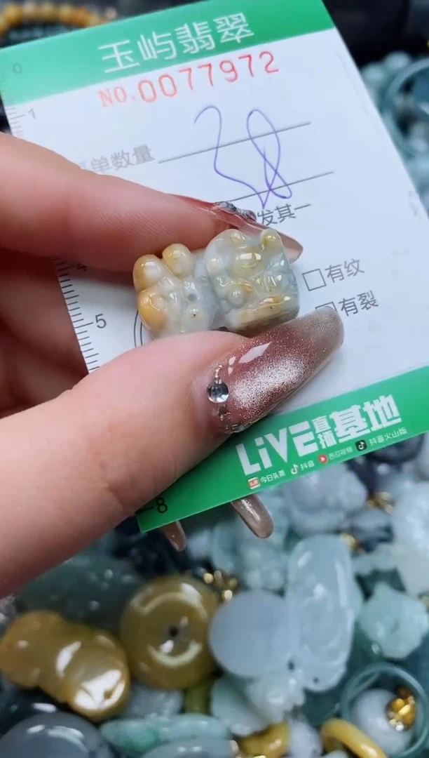 【闪购商品】翡翠颈饰未镶嵌闪购0077972