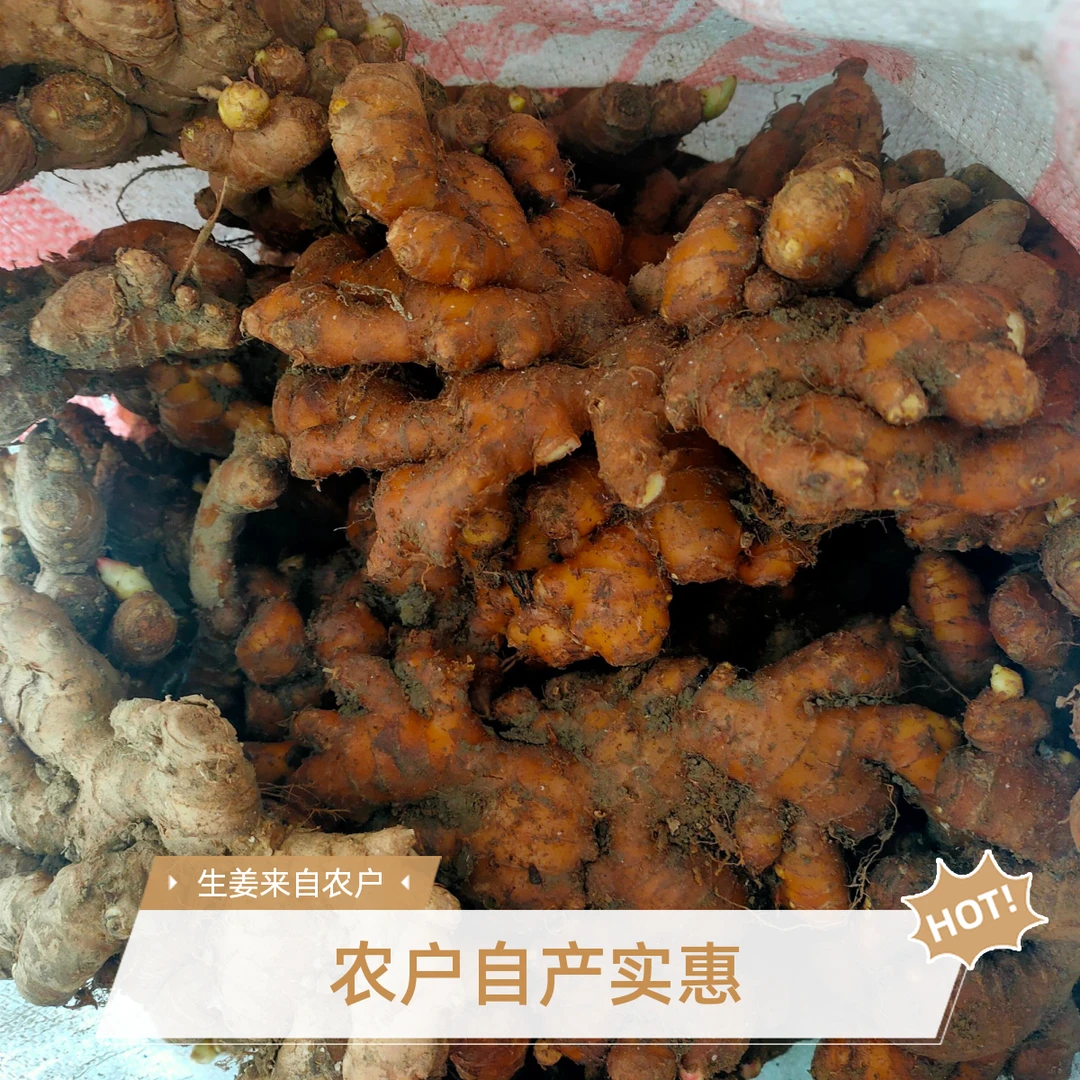 【生姜】兴国乡村农户自产农产品