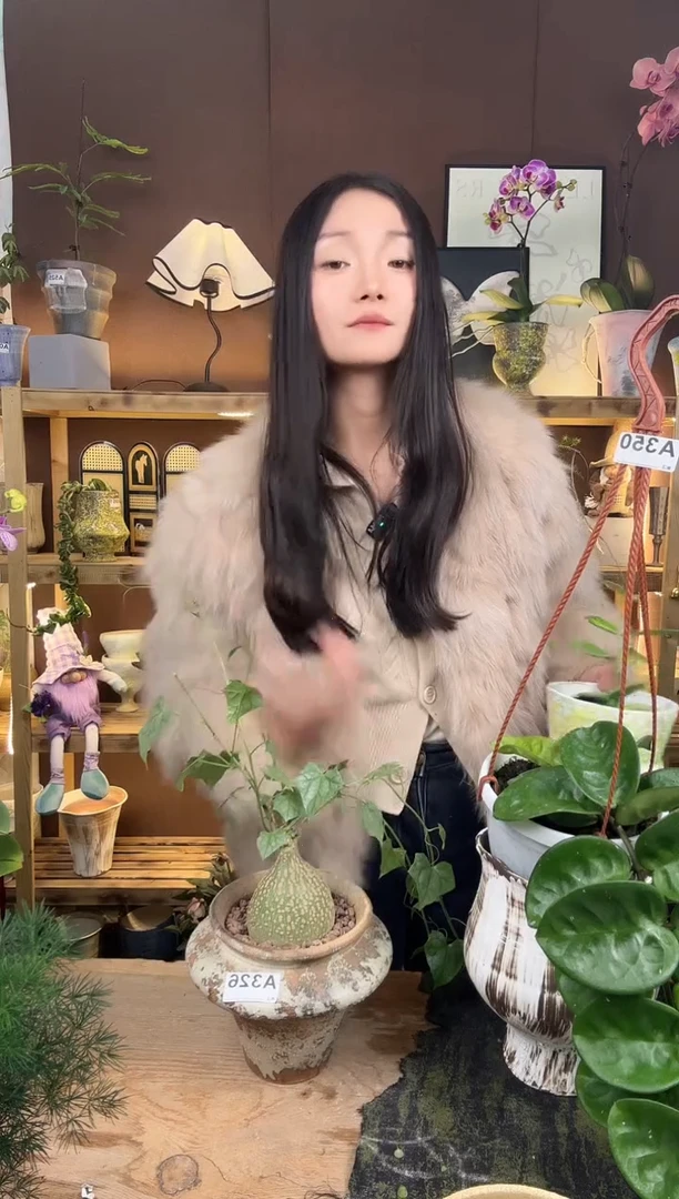 以实际为准银叶睡布袋加盆一套326