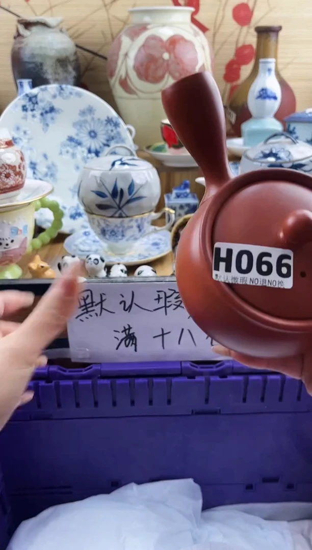 鑫***?==============h066