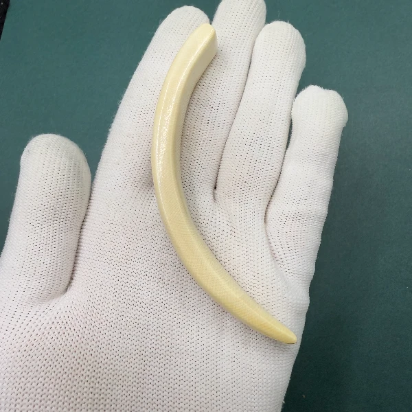 E6208天然猛犸牙牙尖支持鉴定 假一罚四