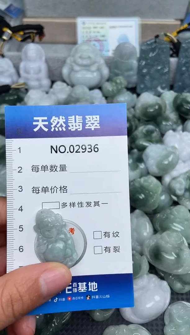 颈饰未镶嵌翡翠纯天然A货翡翠2936