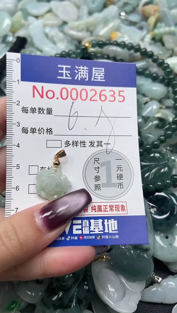 颈饰未镶嵌翡翠2635