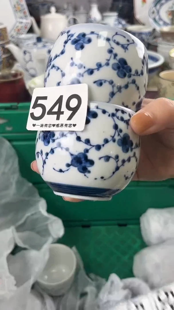 O***O549