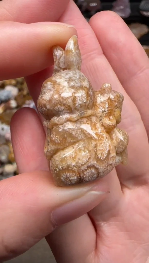 硅化珊瑚（珊瑚玉）未镶嵌颈饰203