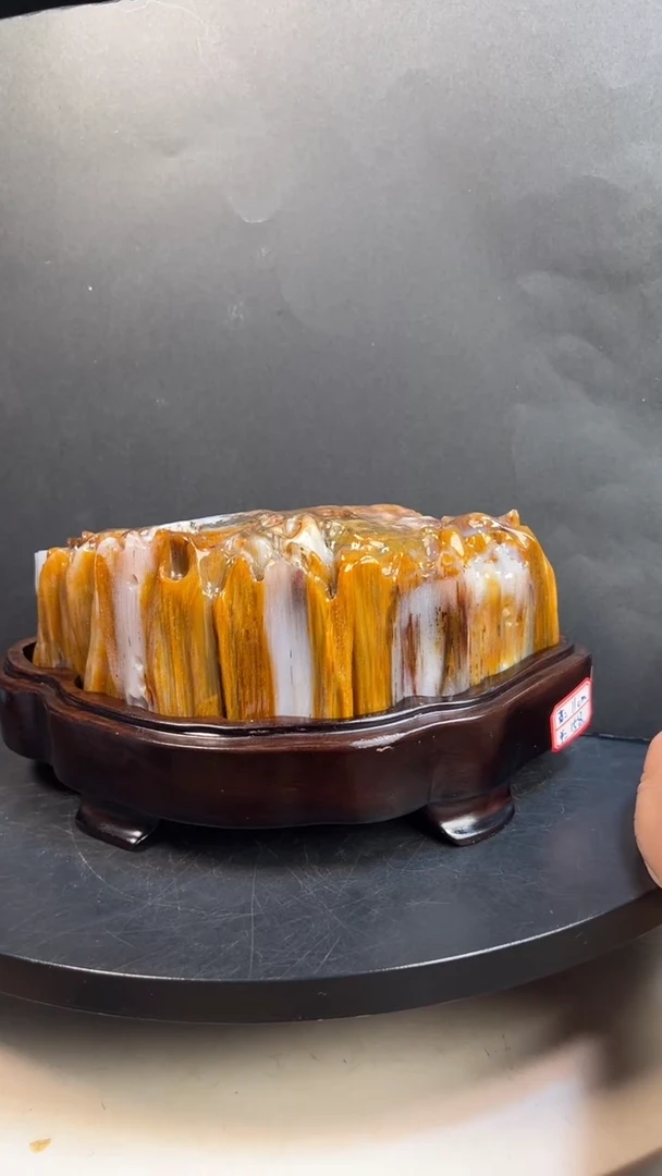 未镶嵌硅化玉（树化玉）珠宝奇石2758（高度11厘米）