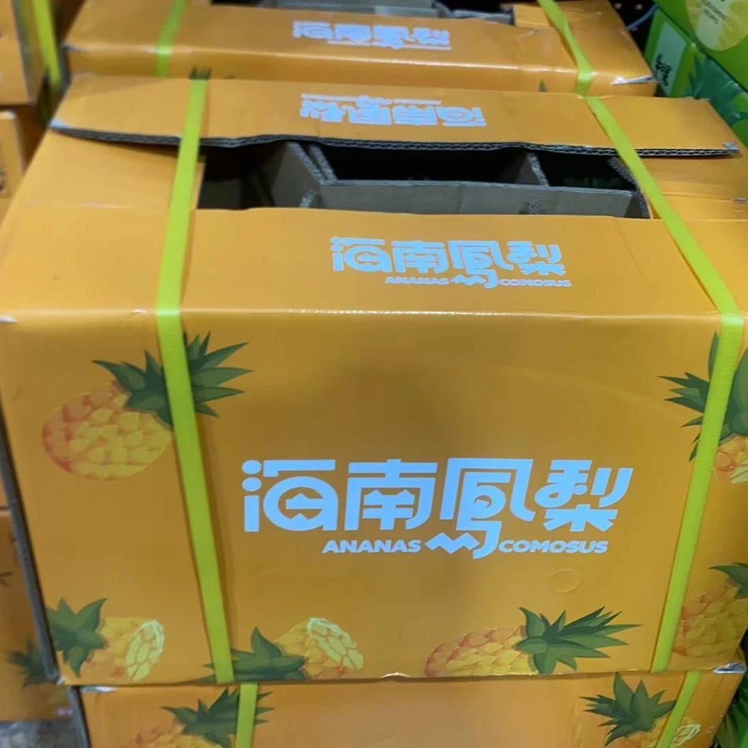 海南树上熟凤芒果风梨2个新鲜