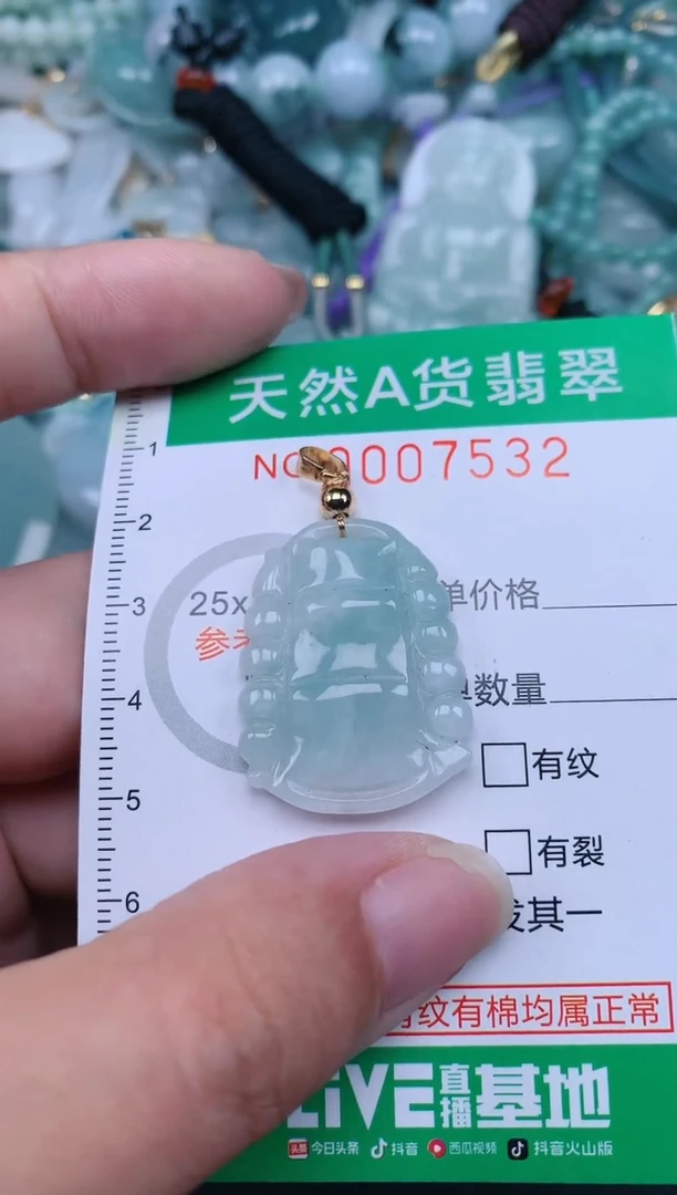 翡翠未镶嵌颈饰.0007532