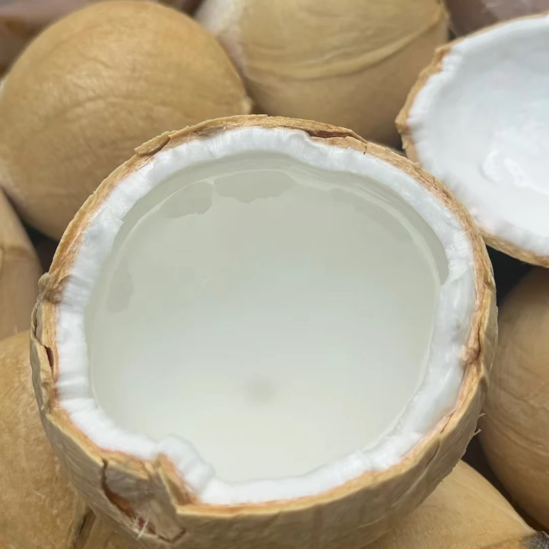 【二姐甄选 泰国老树椰皇】全老树 50果 新鲜到货 每个都送吸管